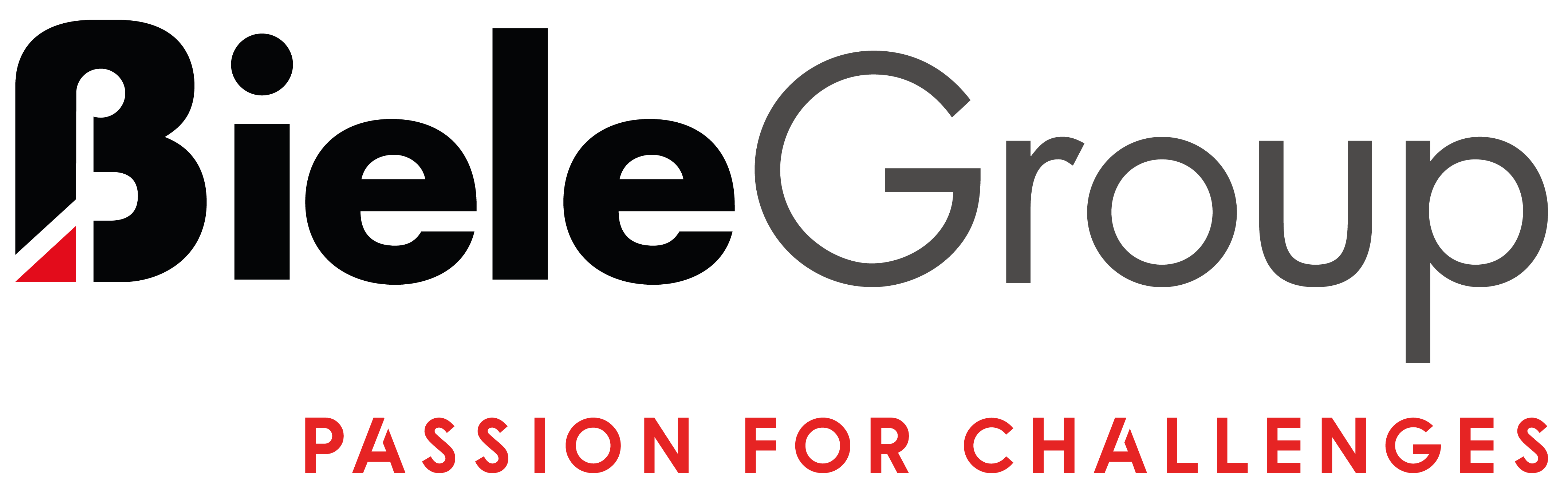 Biele Group — Passion for challenges
